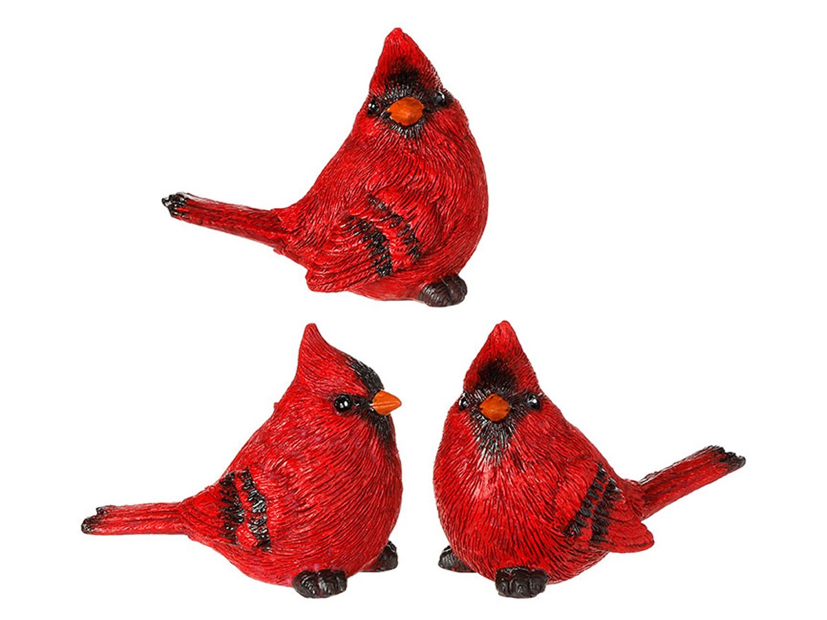 Cute Cardinal