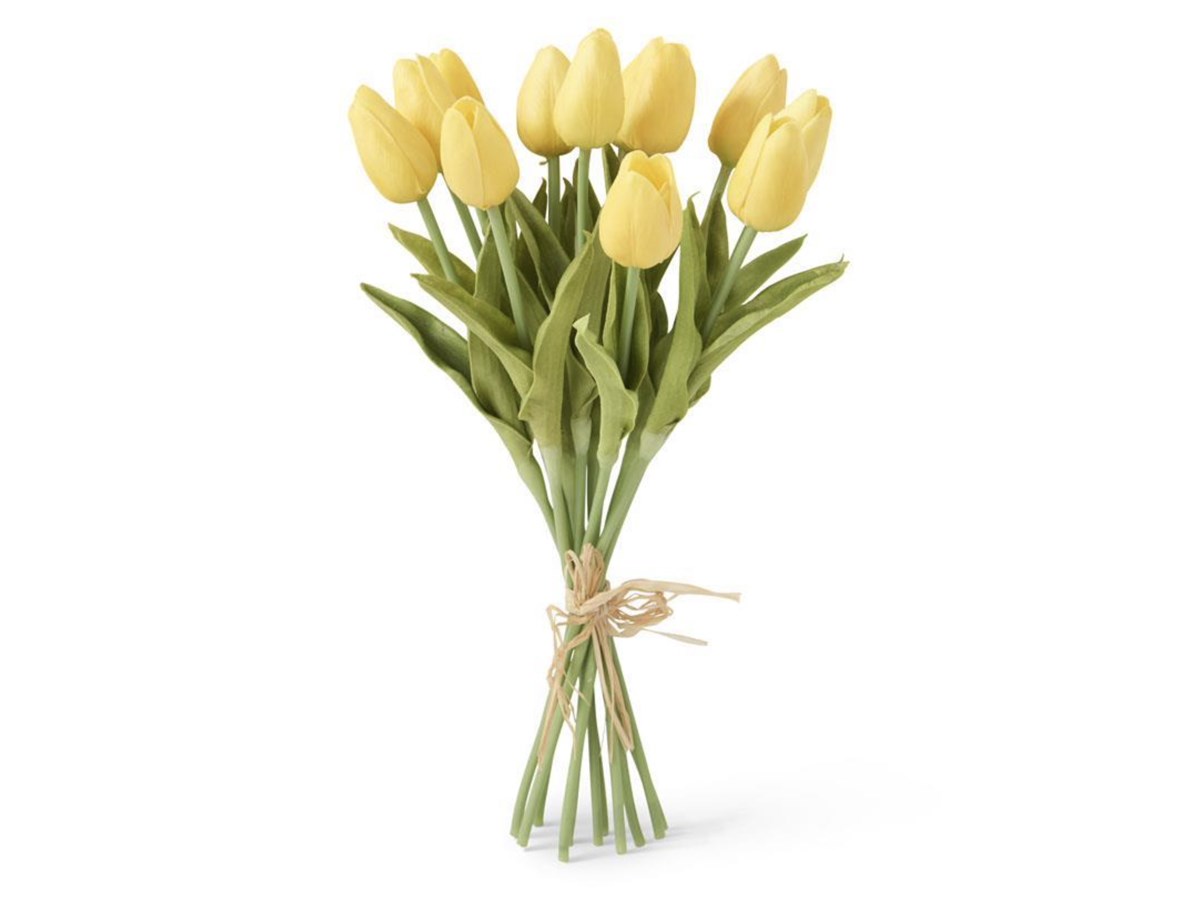 Mini Yellow Tulip Bundle