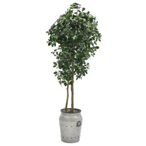 12564065145_03548-000131_planter A288S.jpg