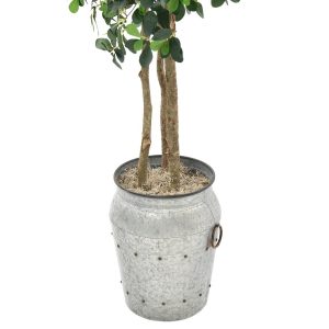 12564065145_03548-000131_planter A388S.jpg
