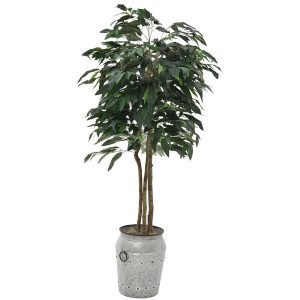 10194060166_03548-000127_planter A288S.jpg