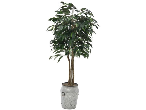 10194060166_03548-000127_planter A288S.jpg
