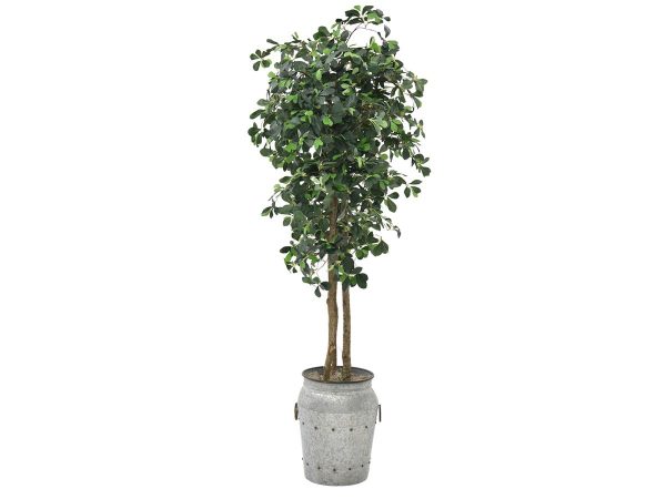 12564065145_03548-000131_planter A188S.jpg