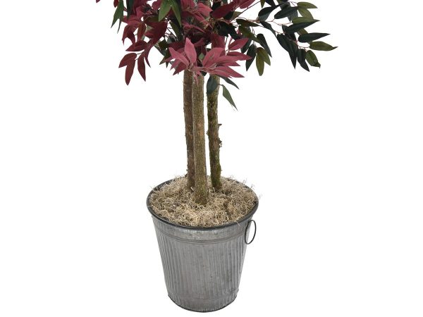 6386867919_03548-000086_planter A388S.jpg