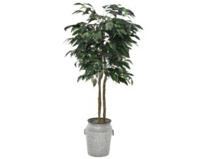 10194060166_03548-000127_planter A188S.jpg