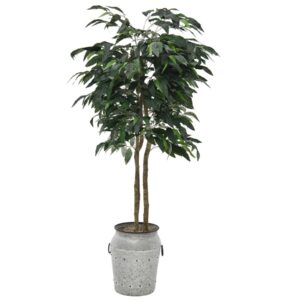 10194060166_03548-000127_planter A188S.jpg