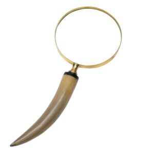 13121706334_2-00619-00328_Magnifying_glass_A1.jpg