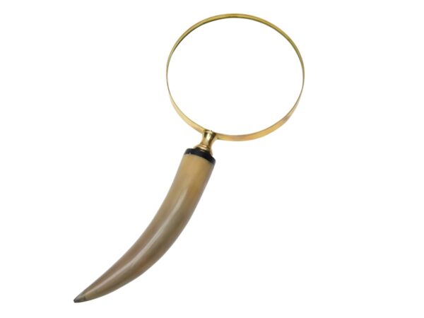 13121706334_2-00619-00328_Magnifying_glass_A1.jpg