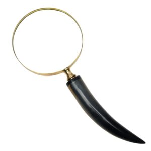 13121706334_2-00619-00328_Magnifying_glass_A2.jpg