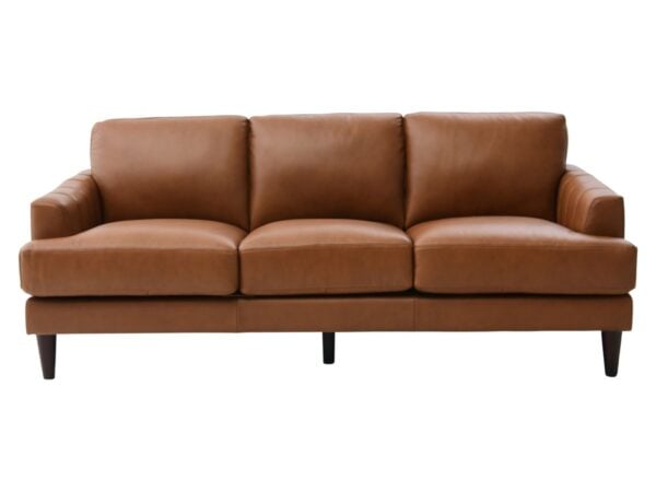 13133799618_06944-000013_sofa-A1.jpg