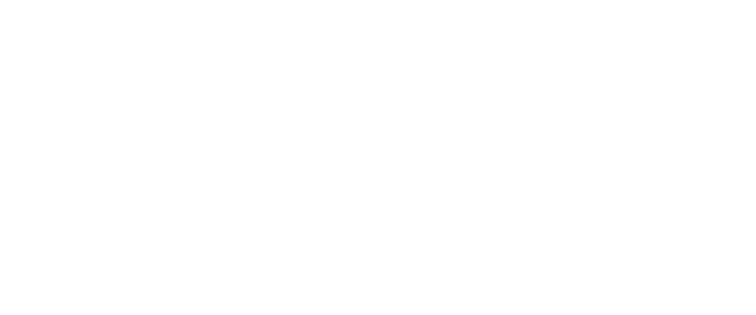 Zecliner Logo