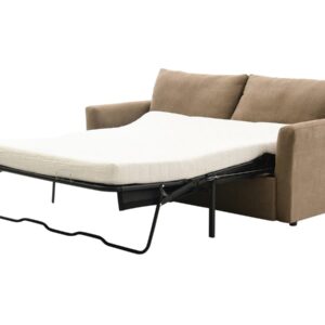13192215387_04438-000088_sleeper_sofa_A3.jpg
